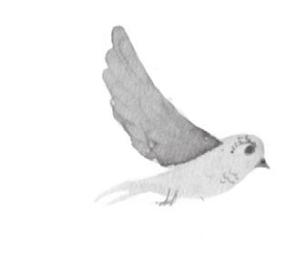 Tytuł oryginału Beyond the Laughing Sky Text copyright 2014 by Michelle Cuevas Illustrations copyright 2014 by Julie Morstad Published by arrangement with Folio Literary Management,