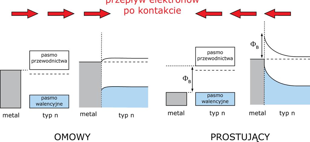 s (omowy) φ m <φ s (prostujący)