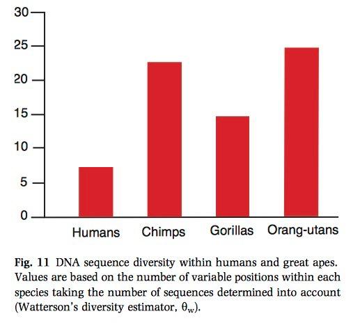 Różnorodność genetyczna ludzi jest stosunkowo