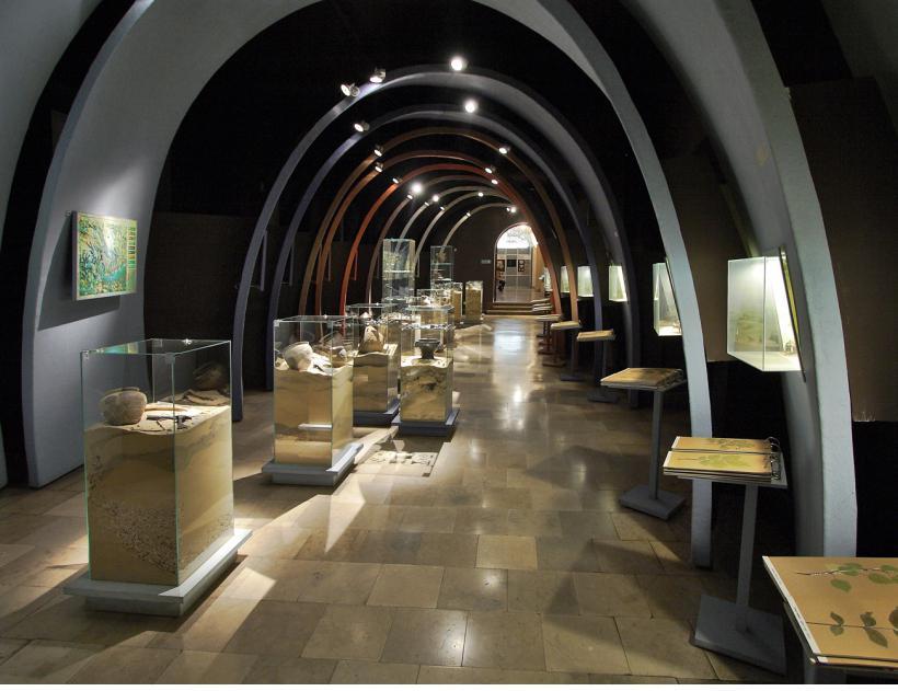 MUZEUM ARCHEOLOGICZNEGO W