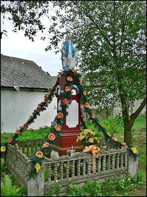Sokołów