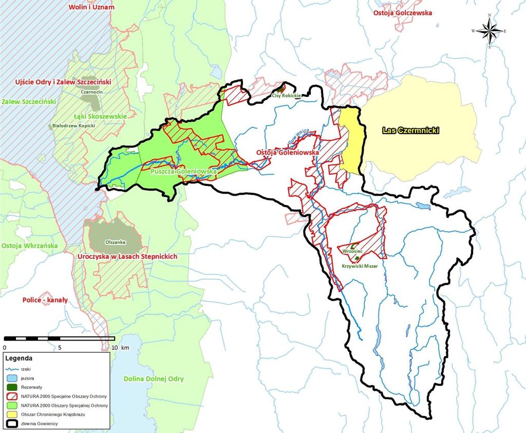 Wielkoobszarowe formy ochrony przyrody skupiają się w zachodniej części zlewni Gowienicy.