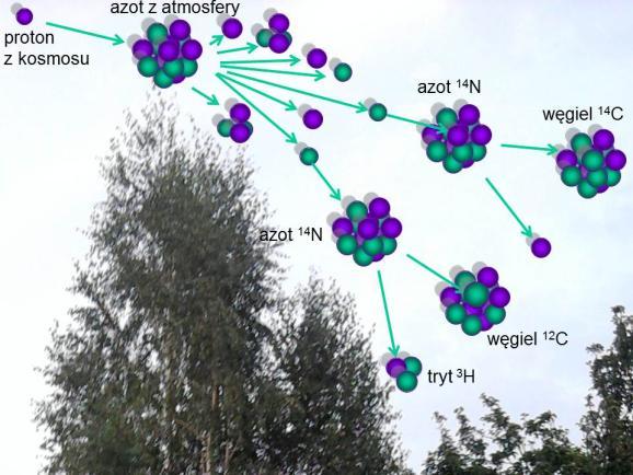 FOTON 117, Lato 2012 5 powierzchni Ziemi, są miony (mion jest cząstką o właściwościach podobnych do elektronu, tylko posiada ponad dwieście razy większą masę niż elektron).