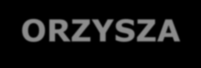 Zadanie dofinansowano ze środków Stowarzyszenia Liderów