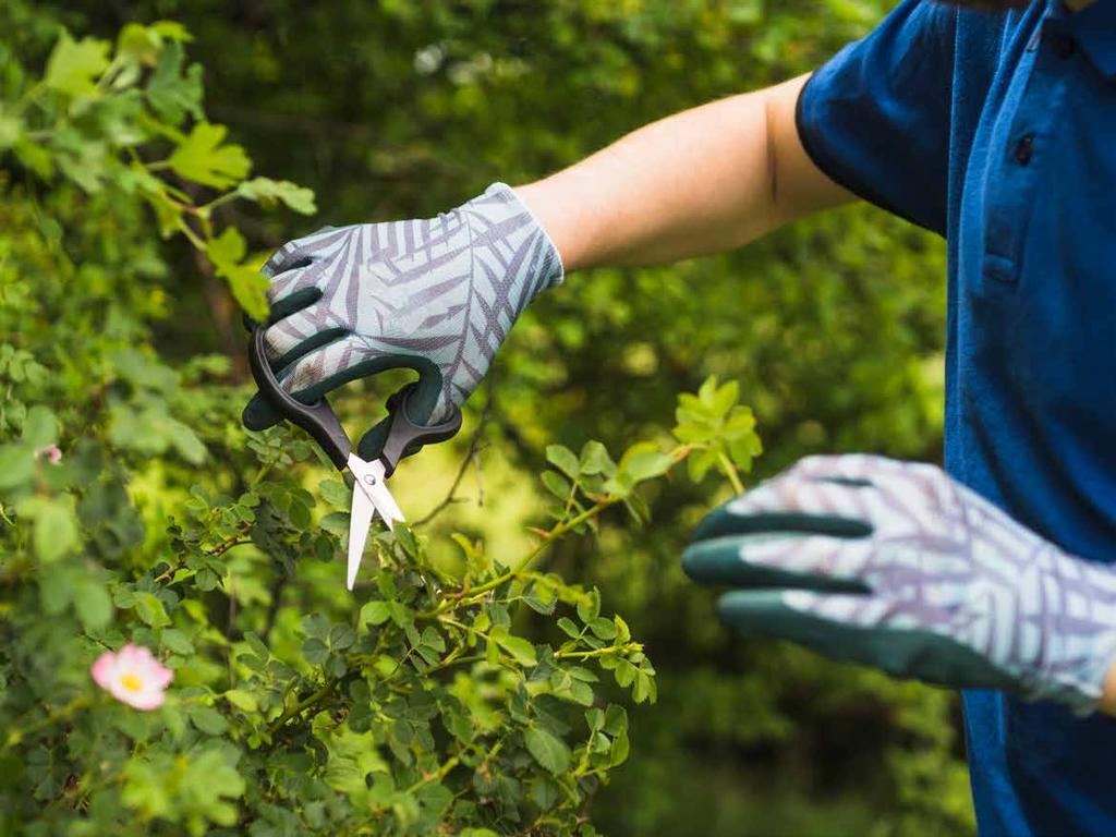 OGRODOWE KREACJE ZIELEŃ USPOKAJA STREFA DLA WIELBICIELI