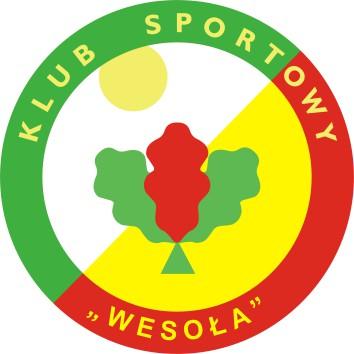 SPRAWOZDANIE MERYTORYCZNE KLUBU SPORTOWEGO WESOŁA ZA ROK 2018 I. Dane organizacji (Stowarzyszenia) Nazwa: Klub Sportowy Wesoła Adres: 05-077 Warszawa, ul.