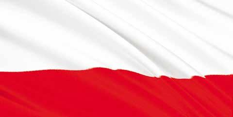 Łazarzanie, 27 grudnia świętowaliśmy 100 rocznicę zwycięskiego Powstania Wielkopolskiego. W przeddzień tego ważnego dnia w kościele MBB przy ul.
