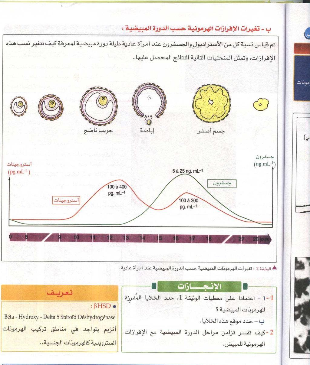 14 4 -العلاقة 2- الوظيفية بين الرحم و المبيضين: أ +تطور إفراز الهرمونات الا نثوية : خلال 14 يوم الا ولى يلاحظ سيادة للا وستروجينات التي يزداد ترآيزها تدريجيا ليصل أعلى نسبة حوالي اليوم 12.