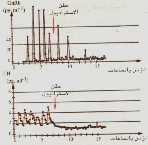 18 6-2- مراقبة نشاط المرآب وطاء نخامية عند المرأة : أ- تجارب ونتاي ج: قبل حقن الا وستراديول آان إفراز LH على شكل دفعات يسمى هذا