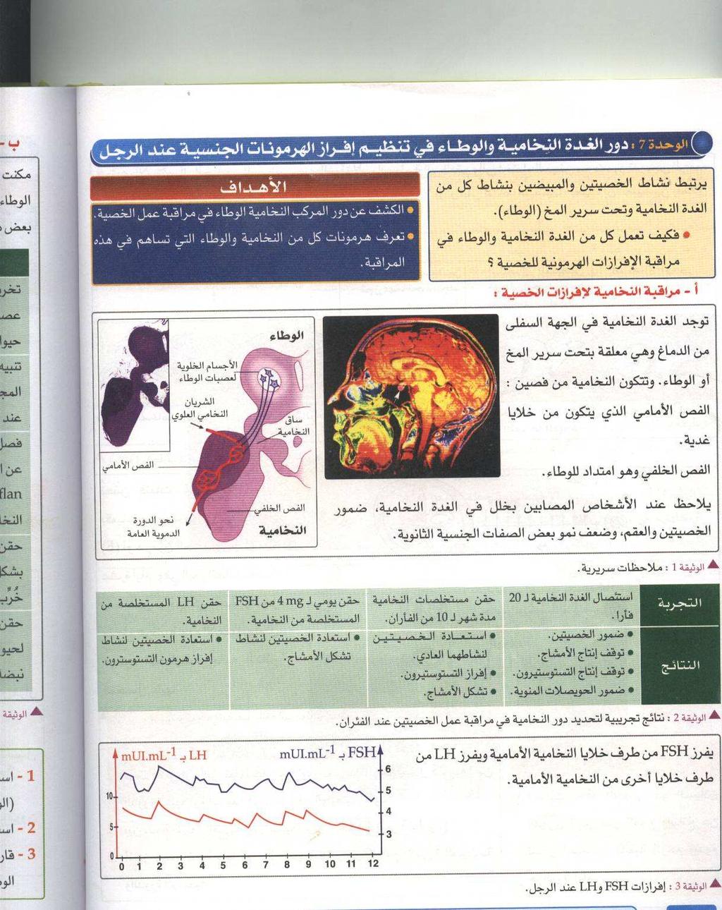 7 فهرمون LH خلاياه الهدف هي الخلايا البيفرجية و يحثها على إفراز هرمون