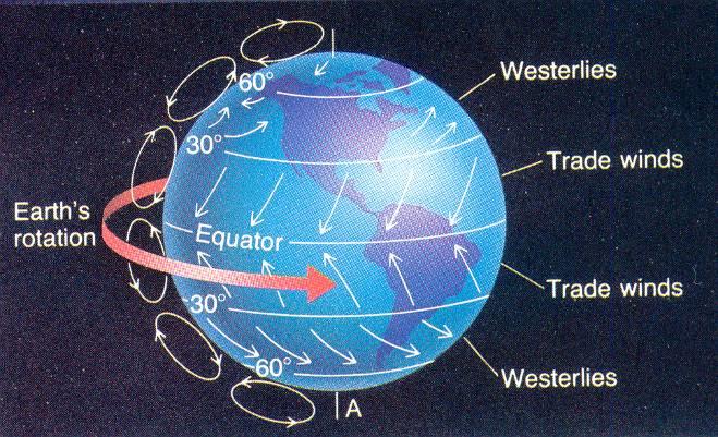 Dlaczego na różnych szerokościach geograficznych panuje różny klimat? Na wysokich szerokościach geograficznych na jednostkę powierzchni ziemi dociera ok. 3-krotnie mniej energii niż na równiku.