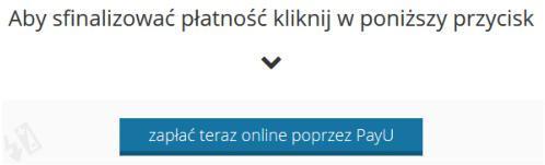 11. Po wybraniu odpowiedniego konta zostaniemy przeniesieni na stronę, na której wybierzemy rodzaj płatności oraz grupę (jeżeli zajęcia przewidują taką możliwość).