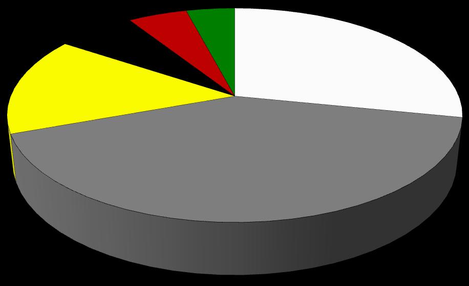 Wyniki Standardowe 2017 uzyskane przez gospodarstwa rolne uczestniczące w Polskim FADN Ponad 71% pogłowia zwierząt znajdowało się w gospodarstwach rolnych, których wielkość nie przekroczyła 100 tys.