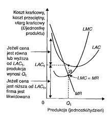 Okres krótki - jest to taki okres, w którym część czynników produkcyjnych jest stała, a część zmienna.