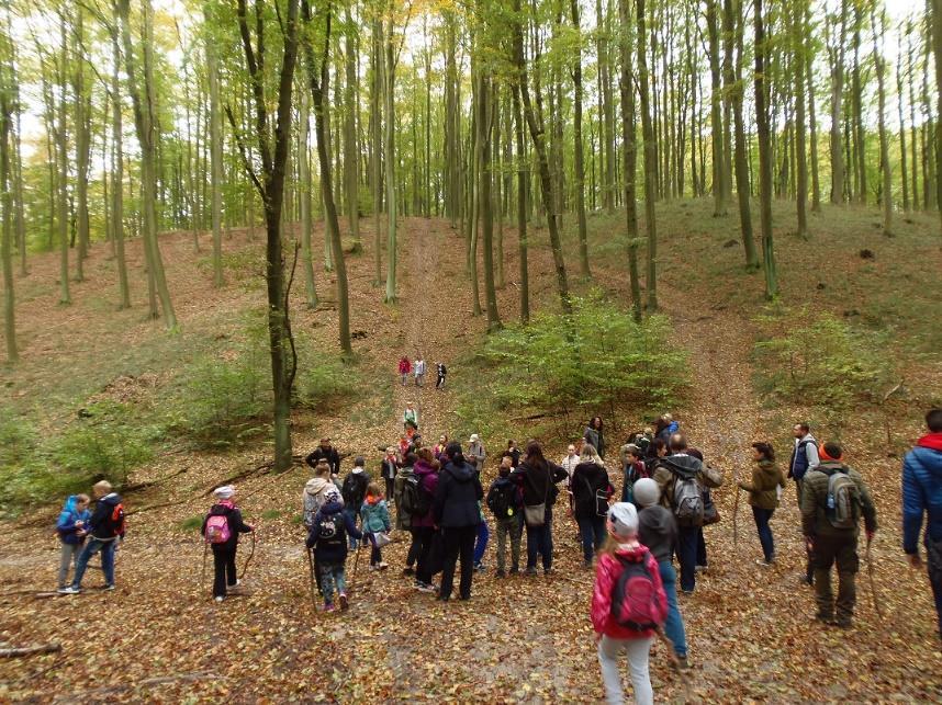 - SZKOLNE KOŁO SKKT Również nasi uczniowie biorą chętnie udział w szkolnych rajdach po Puszczy Bukowej i Wkrzańskiej.