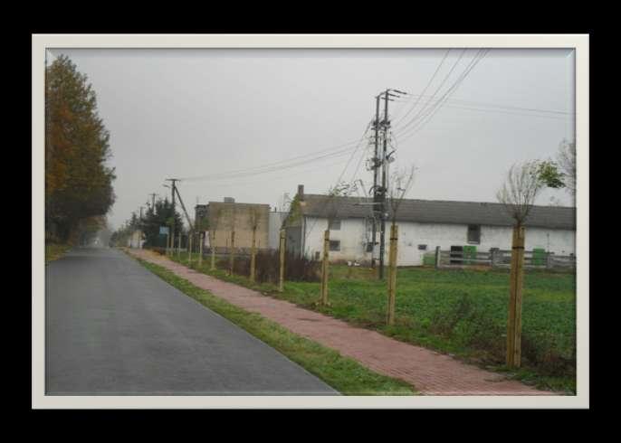 Założenie zieleni urządzonej wzdłuż ciągu pieszo-rowerowego Łęgowo-Długa Wieś-Przysieczyn.