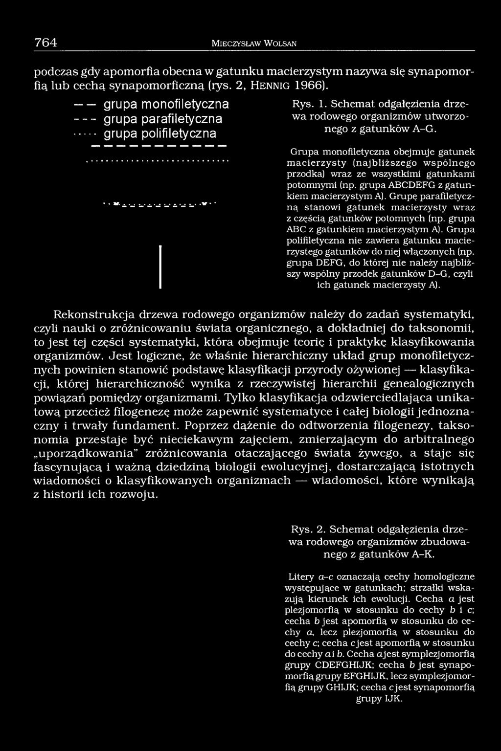 Grupa monofiletyczna obejmuje gatunek m acierzysty (najbliższego w spólnego przodka) wraz ze wszystkimi gatunkami potomnymi (np. grupa ABCDEFG z gatunkiem macierzystym A).
