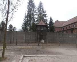 W obozie zagłady 14 października byliśmy w Państwowym Muzeum Auschwitz Birkenau. Powstało w 1947r.