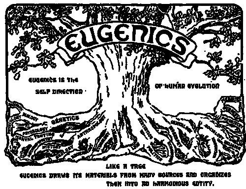 Eugenika w USA American Breeder s Association (1906)