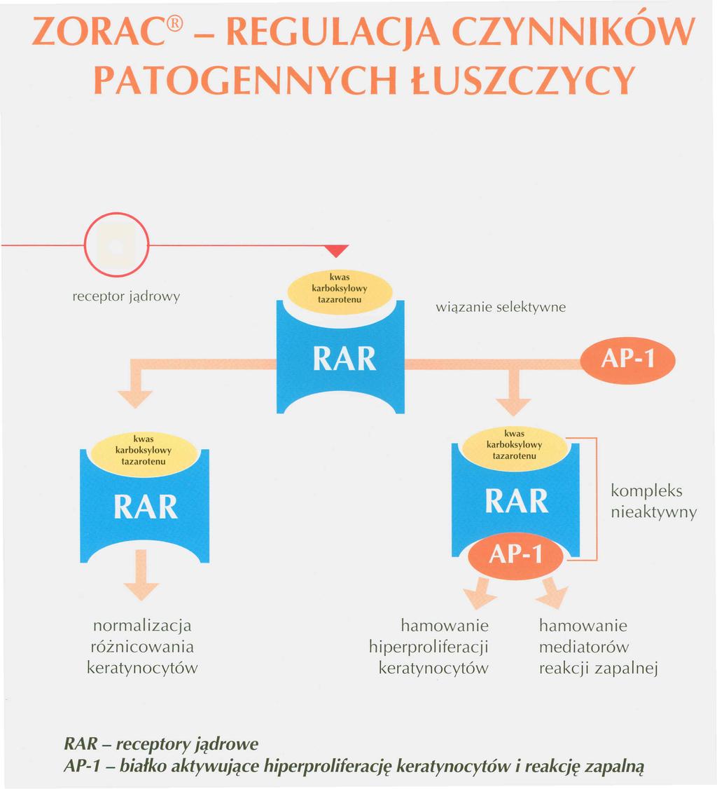 ZORAC - REGULACJA CZYNNIKÓW PATOGENNYCH ŁUSZCZYCY -Or---------- kwas karboksylowy tazarotenu kompleks nieaktywny normai izacja różnicowania keratynocytów hamowanie h