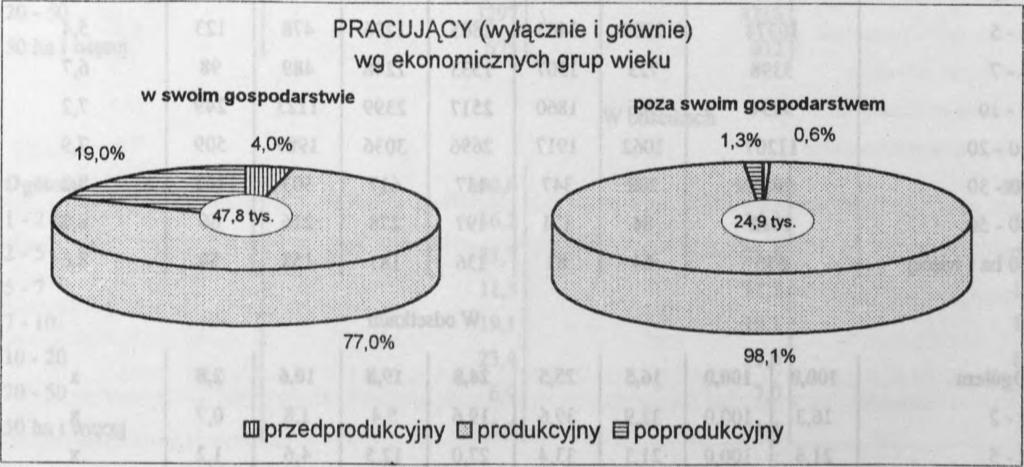 W grupie osób w wieku produkcyjnym mobilnym dodatkową pracę poza gospodarstwem rolnym wykonywało 26,8% a w wieku poprodukcyjnym 3,8%.