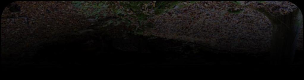 Walory przyrodnicze Gminy Piękne tereny Rezerwatu Przyrody Radowice, niespotykana gdzie indziej rzeźba terenu przecinana