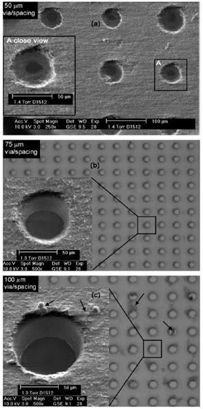 75 µm (c) 100