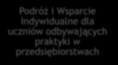 Indywidualne dla uczniów