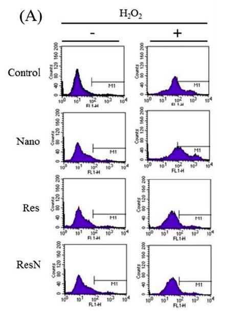 Detekcja ROS H2DCFDA (2,7 -Dichlorodihydrofluorescein diacetate) is a useful fluorogenic reagent to detect reactive