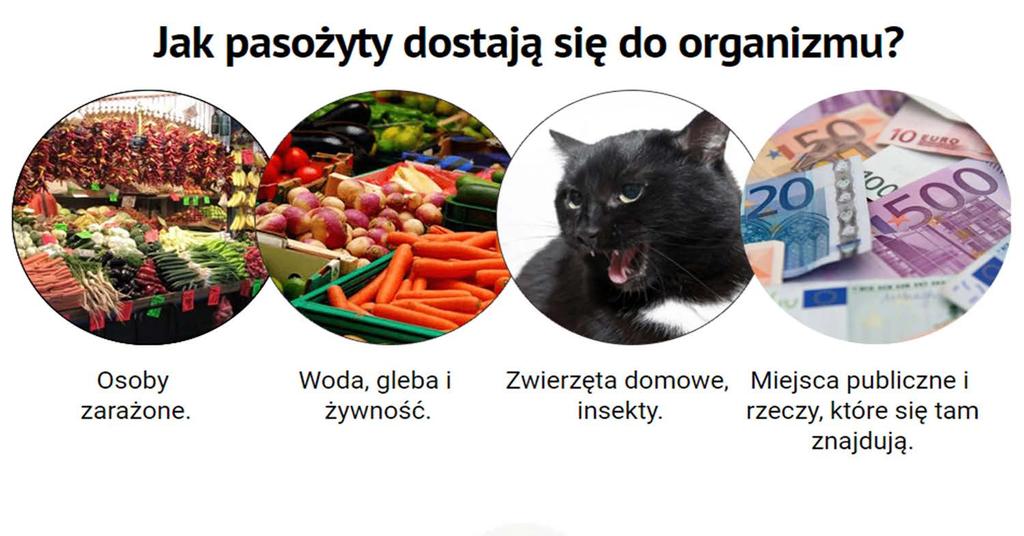 Częste przeziębienia, ból gardła, zatkany nos; Chroniczne zmęczenie (szybko się męczysz bez względu na to, co robisz); Częste bóle głowy; Zaparcia lub biegunki; Bóle mięśni i stawów; Nerwowość,