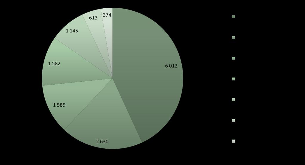 wyniosły 13.941 tys. zł (nie uwzględniając przychodów spółek zależnych w Rumunii).