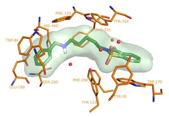 Rys.9. Sposób wiązania najaktywniejszego z zaprojektowanych inhibitorów 35 w centrum aktywnym AChE.