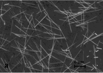 Two-component polymeric materials of fullerenes and the transition metal complexes: a bridge between metal-organic frameworks and conducting polymers.