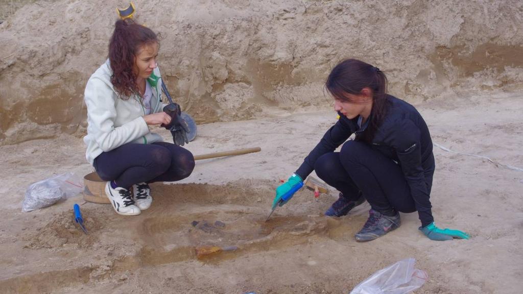 terenie rolniczym. Nadzór nad całością badań sprawuje archeolog Marcin Przybyła.