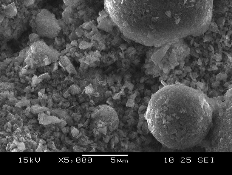 carbide (Table 1). The shape and size of the powder particles were determined using scanning electron microscopy (Fig. 1). The prepared powder mixtures were ground for 2 h in a high energy planetary mill Pulverisette 6 with a WC-Co bowl and balls in the presence of liquid (acetone) at 200 rpm.