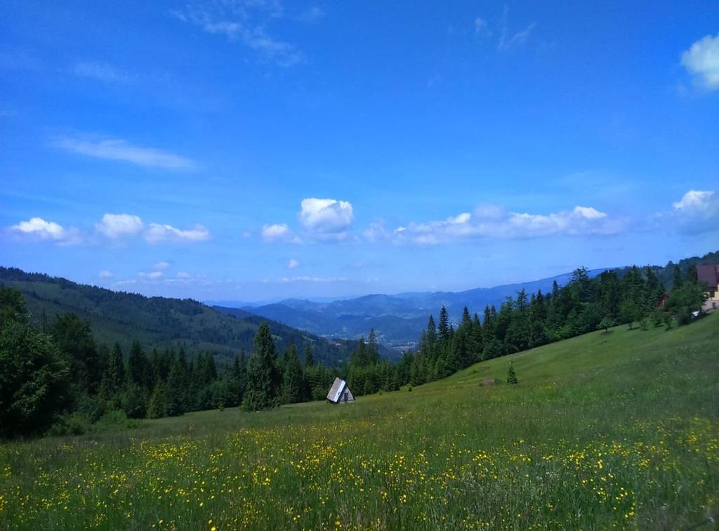 DZIĘKUJĘ ZA UWAGĘ Badania prowadzone przez