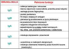 Odpowiedź komórkowa Limfocyty B: - kompetencje do odpowiedzi uzyskują - plazmocyty są końcowym stadium różnicowania limfocytów B - biorą udział w reakcjach odpornościowych typu humoralnego -