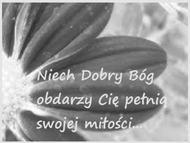 Dwie nowe lampki przy ołtarzu Świętego Jana Pawła II, dwie lampki przy Matce Bożej Nieustającej Pomocy oraz lampkę w sanktuarium można zapalić w wyznaczonej przez ciebie intencji.