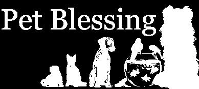 The RCIA, Rite of Christian Initiation of Adults, is a spiritual journey for those who wish to be baptized in the Catholic faith and also for those already baptized Catholic who would like to receive