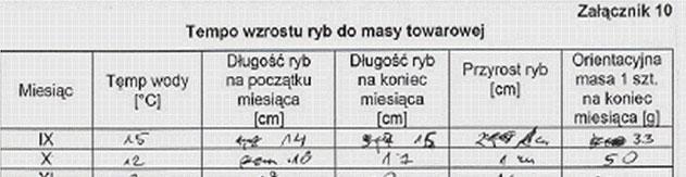 rozwiązania obszaru III