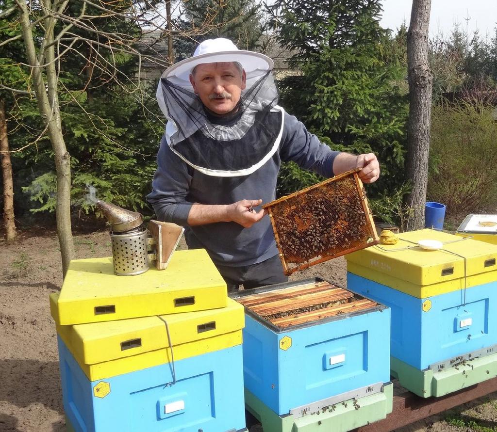 Pszczoły dostarczają nam przede wszystkim miodu. Cechują go wybitne właściwości odżywcze i zdrowotne. Województwa (wg danych GUS) Produkcja miodu w 2016 r. w tys. kg Odsetek produkcji w 2016 r.
