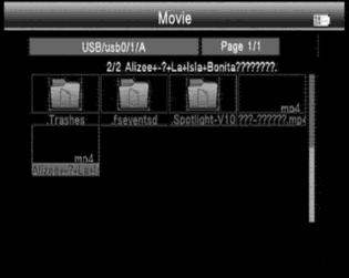 3.7.4 MOVIE, MUSIC & PHOTO (FUNKCJA PLAYERA USB) Port USB umożliwia odtwarzanie plików wideo, audio oraz zdjęć z zewnętrznych nośników rodzaju pendrive.