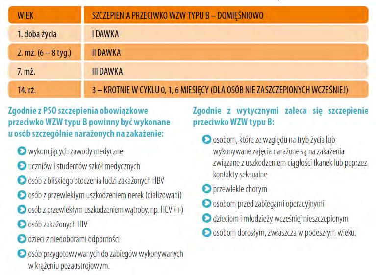 Pierwsze rekomendacje do powszechnych szczepień pojawiły się w 1991 r. W Polsce obowiązkowe szczepienia noworodków wprowadzono w 1996 r.