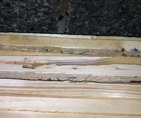 dolno- wrzecionowe (dwuwałowe). Jak pokazuje inspektorska praktyka, są to jedne z najbardziej niebezpiecznych obrabiarek do drewna.