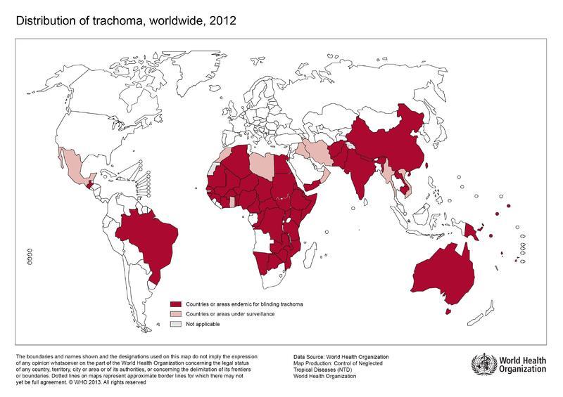 Chlamydia trachomatis postaci kliniczne zakażenia Jaglica przewlekły, zapalny,