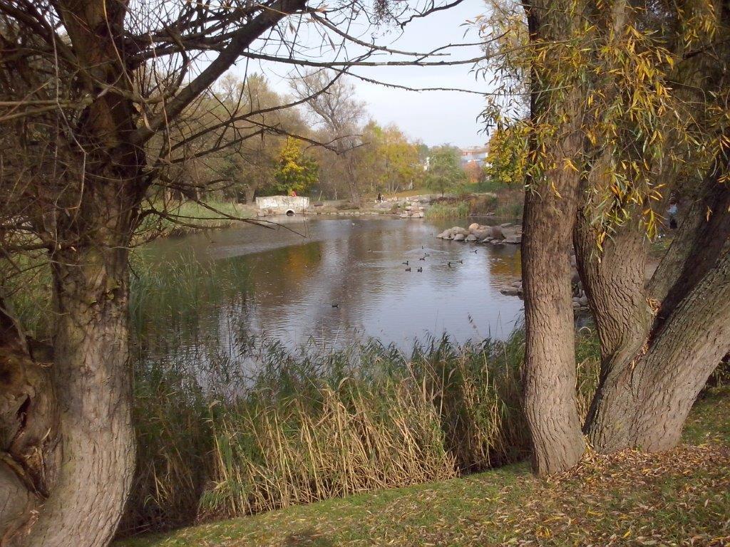 Stawów Park Milenijny Park Osowa