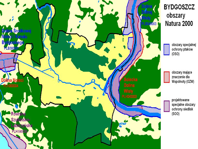 Obszary Natura 2000 Dolina Dolnej Wisły (PLB 040003), Dolina Środkowej Noteci i Kanału Bydgoskiego