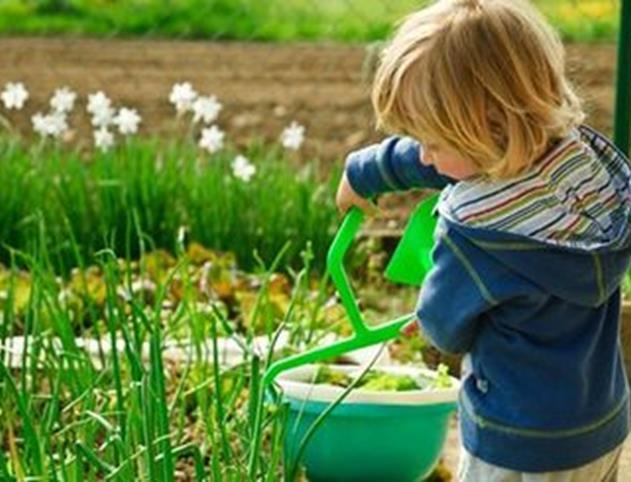 STUDIA I STOPNIA składają się z bloków: Przedmiotów podstawowych: matematyka, fizyka, biologia, mikrobiologia, chemia, biochemia Przedmiotów kierunkowych: ekologia i ochrona przyrody, geologia,