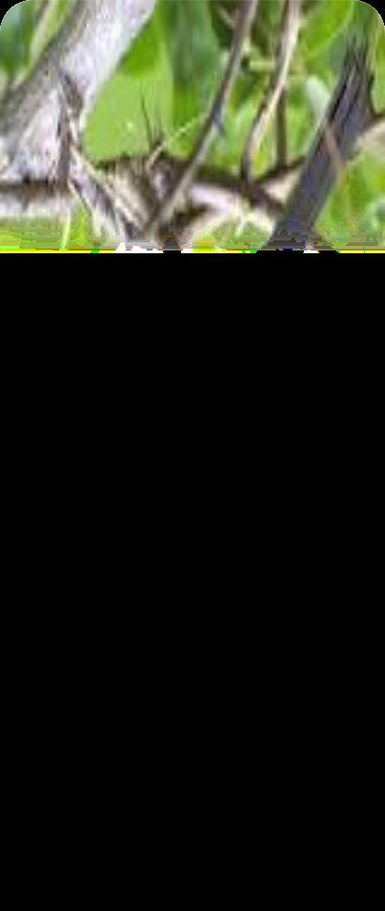 organizmów.