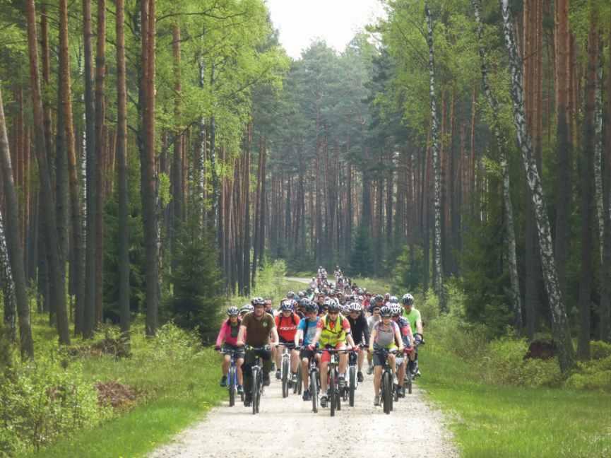 Serdecznie zachęcamy do uczestnictwa w rajdach rowerowych: międzynarodowych, ogólnopolskich i lokalnych organizowanych przez Józefowską Kawalerię Rowerową.
